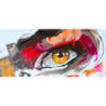MIRADA 3 REPRODUCCION